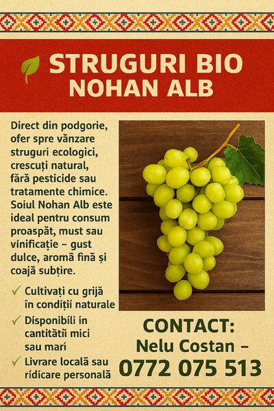 Struguri Nohan Alb de vanzare,