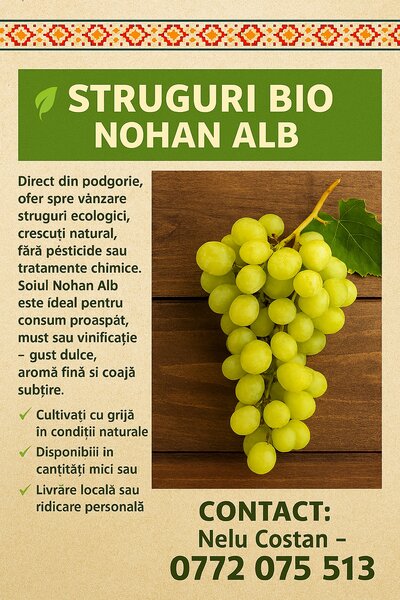 Struguri Nohan Alb de vanzare,